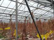 Продаётся  объект 1 000 м², пос. Говсан, photo 7 from 8