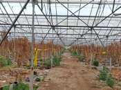 Продаётся  объект 1 000 м², пос. Говсан, photo 3 from 8