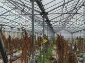 Продаётся  объект 1 000 м², пос. Говсан, photo 2 from 8