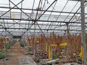 Продаётся  объект 1 000 м², пос. Говсан, photo 6 from 8