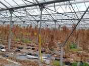 Продаётся  объект 1 000 м², пос. Говсан, photo 4 from 8