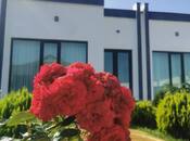 Satılır 4 otaqlı həyət evi/bağ evi 120 m², Mərdəkan q., photo 7 from 8
