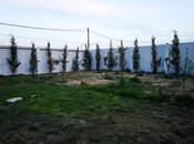 İcarəyə verilir 4 otaqlı həyət evi/bağ evi 230 m², Nardaran q., photo 2 from 8