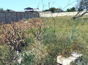 Satılır  torpaq 11 sot, Nardaran q., photo 4 from 7