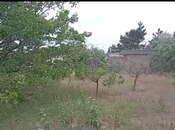Satılır  torpaq 4 sot, Novxanı q., photo 4 from 7