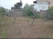 Satılır  torpaq 4 sot, Novxanı q., photo 2 from 7