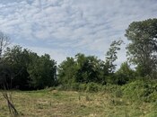 Продаётся  участок 81 сот, photo 7 from 8