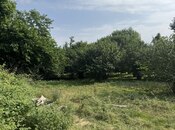 Продаётся  участок 81 сот, photo 8 from 8