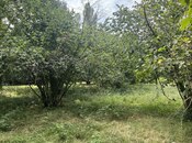 Продаётся  участок 81 сот, photo 3 from 8