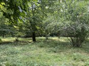 Продаётся  участок 81 сот, photo 6 from 8