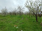 Продаётся  участок 50 сот, photo 3 from 6