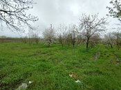Продаётся  участок 50 сот, photo 4 from 6