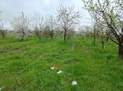 Продаётся  участок 50 сот, photo 6 from 6