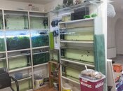İcarəyə verilir  obyekt 65 m², İnşaatçılar m., photo 2 from 8