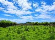 Продаётся  участок 35 сот, пос. Маштаги, photo 4 from 6