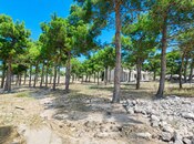 Продаётся  участок 126 сот, пос. Мардакан, photo 6 from 8