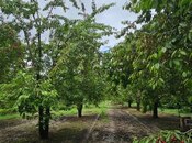 Продаётся  участок 200 сот, photo 4 from 7