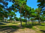 Продаётся  участок 126 сот, пос. Мардакан, photo 4 from 8