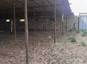 Продаётся  участок 30 сот, пос. Гала, photo 5 from 8