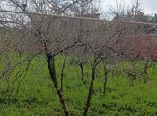Satılır  torpaq 12 sot, Mərdəkan q., photo 3 from 3