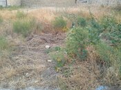 Satılır  torpaq 6 sot, Badamdar q., photo 1 from 3