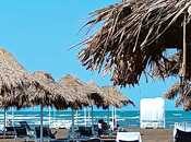 Сдаётся 1-комн. новостройка 60 м², пос. Sea Breeze, photo 3 from 8