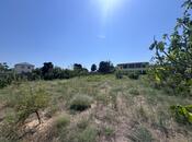 Satılır  torpaq 21.5 sot, Nardaran q., photo 8 from 8