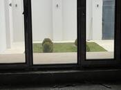 Продаётся 5-комн. дом/дача 180 м², Хазарский р., photo 3 from 8