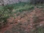 Продаётся  участок 6 сот, м. Ахмедлы, photo 2 from 8