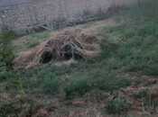 Продаётся  участок 6 сот, м. Ахмедлы, photo 4 from 8