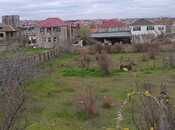 Satılır  torpaq 12 sot, Saray q., photo 4 from 8