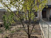Satılır 4 otaqlı həyət evi/bağ evi 200 m², Nardaran q., photo 6 from 8