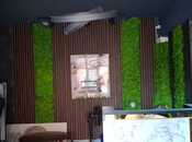 Продаётся  объект 35 м², м. 8 ноября, photo 1 from 6