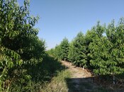 Satılır  torpaq 105 sot, photo 1 from 8