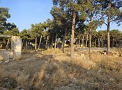 Продаётся  участок 126 сот, пос. Мардакан, photo 6 from 8