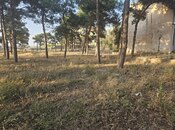 Продаётся  участок 126 сот, пос. Мардакан, photo 2 from 8