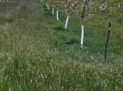Продаётся  участок 80 сот, photo 4 from 8