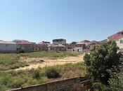 Продаётся  участок 54 сот, Абшеронcкий  р., photo 4 from 4