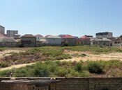 Продаётся  участок 54 сот, Абшеронcкий  р., photo 2 from 4