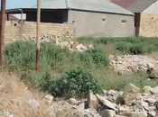 Satılır  torpaq 3 sot, Biləcəri q., photo 8 from 8