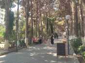 İcarəyə verilir  obyekt 380 m², photo 3 from 8