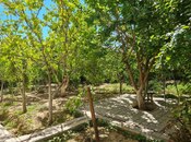 Satılır 6 otaqlı həyət evi/bağ evi 250 m², Binəqədi r., photo 5 from 8