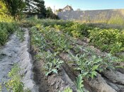 Продаётся  участок 18 сот, пос. Новханы, photo 1 from 8