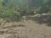 Продаётся  участок 5 сот, пос. Сарай, photo 3 from 4