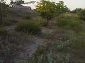 Продаётся  участок 12 сот, пос. Новханы, photo 6 from 6