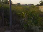 Продаётся  участок 12 сот, пос. Новханы, photo 5 from 6