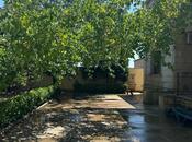 İcarəyə verilir 7 otaqlı həyət evi/bağ evi 250 m², Dübəndi q., photo 6 from 8