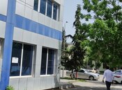 Satılır  obyekt 180 m², photo 4 from 8