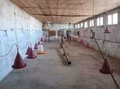 Satılır  obyekt 300 m², Qobu q., photo 4 from 8