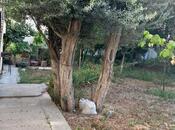 Продаётся  участок 12 сот, пос. Sea Breeze, photo 4 from 4